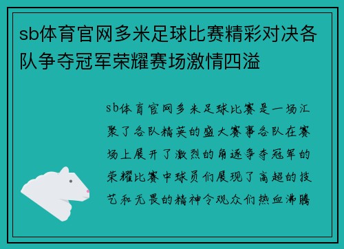 sb体育官网多米足球比赛精彩对决各队争夺冠军荣耀赛场激情四溢