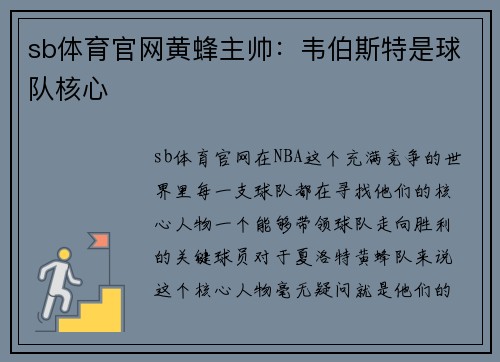 sb体育官网黄蜂主帅：韦伯斯特是球队核心