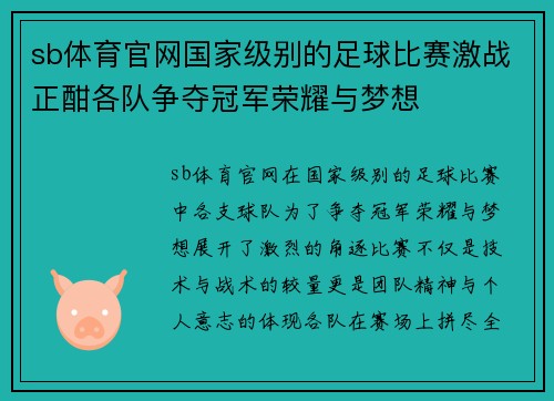 sb体育官网国家级别的足球比赛激战正酣各队争夺冠军荣耀与梦想